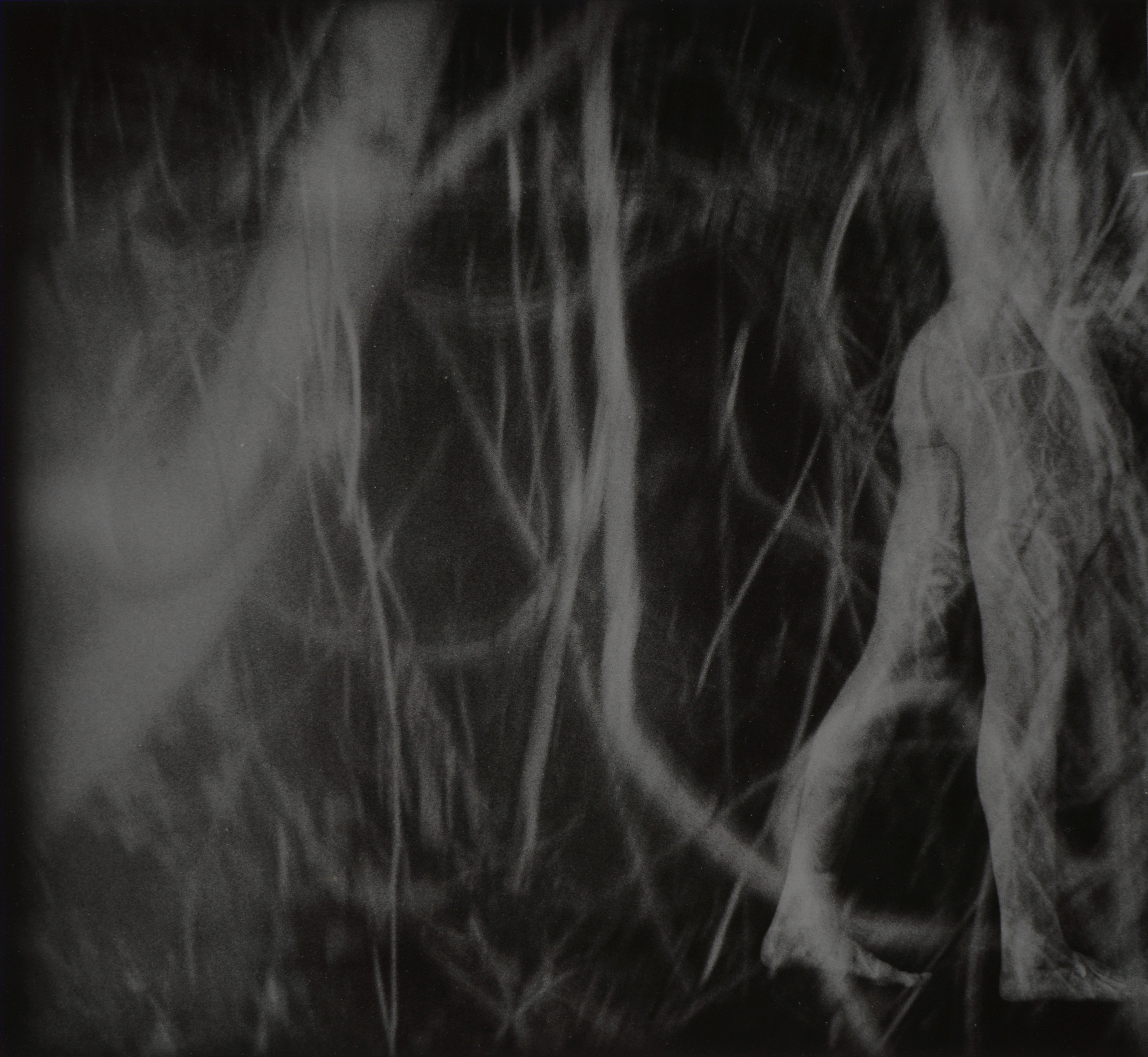 image Thom Puckey process of metamorphosis into plant 0