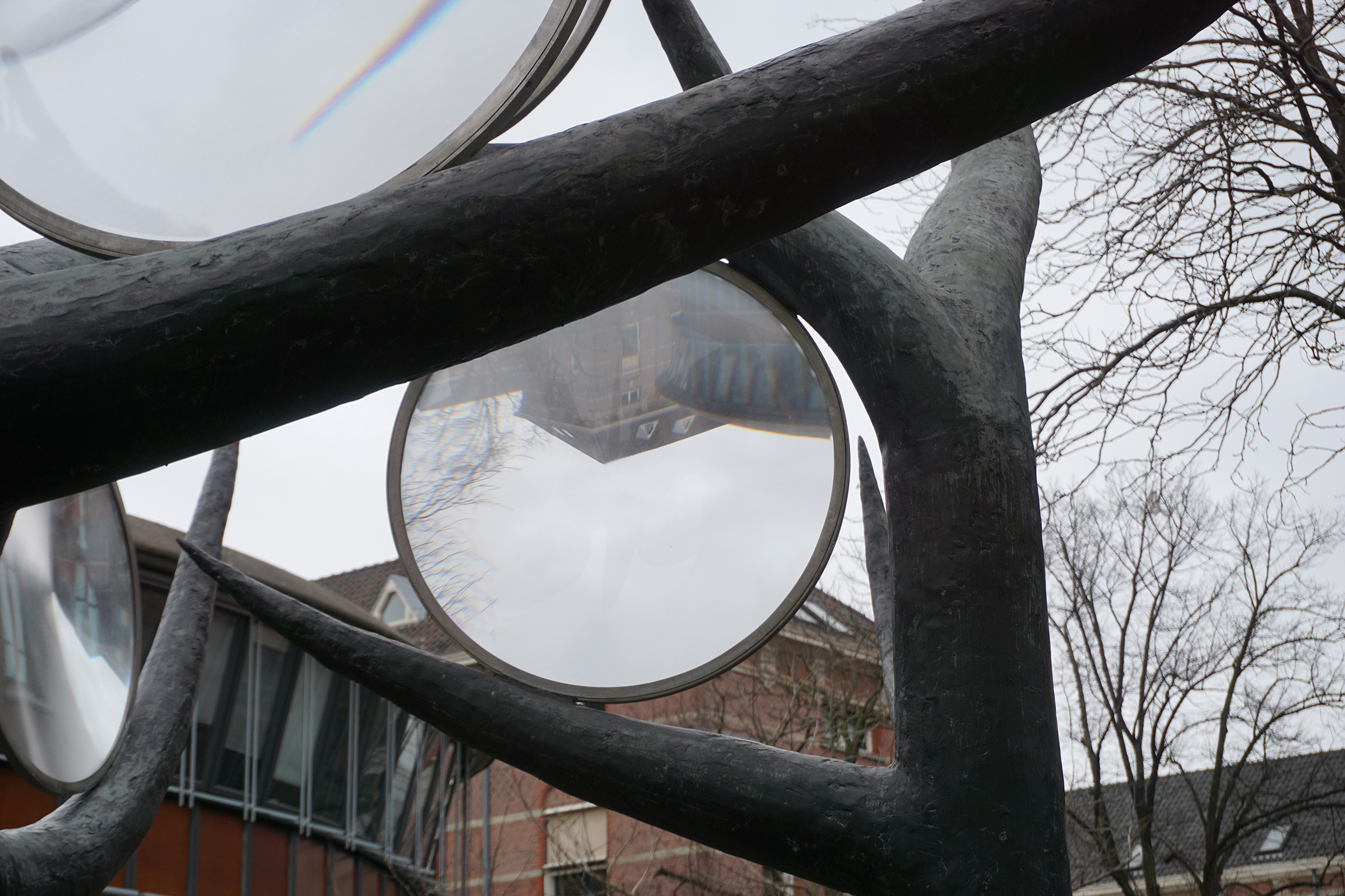 image Thom Puckey The Lens Trees, Binnengasthuisterrein, Amsterdam 3