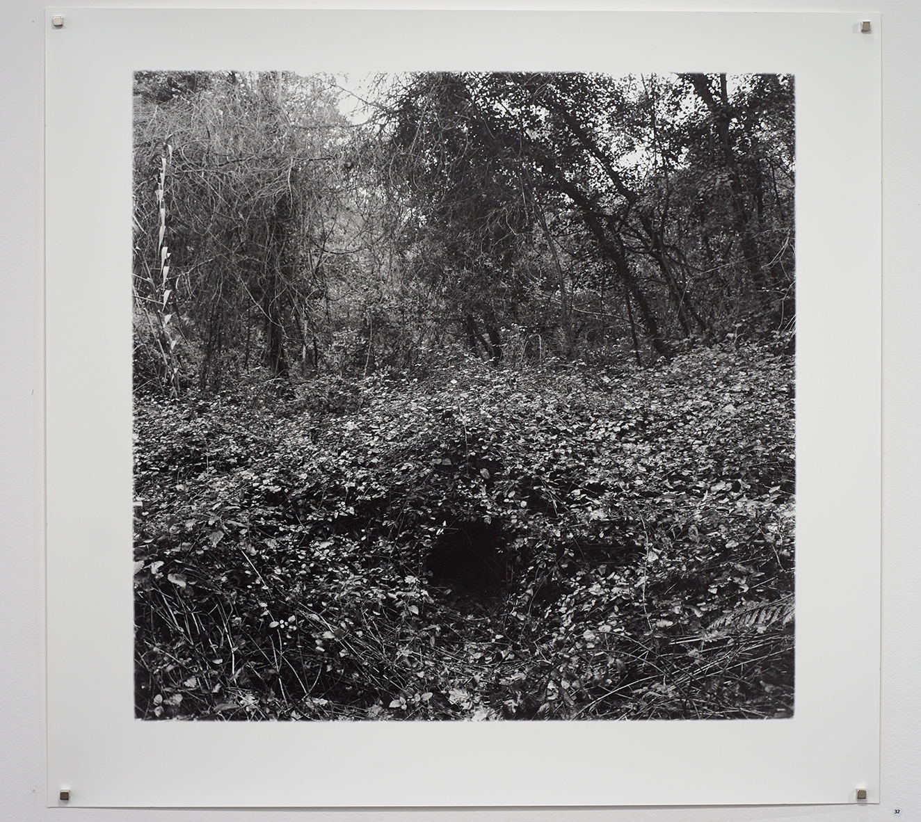 image Thom Puckey blog item 10