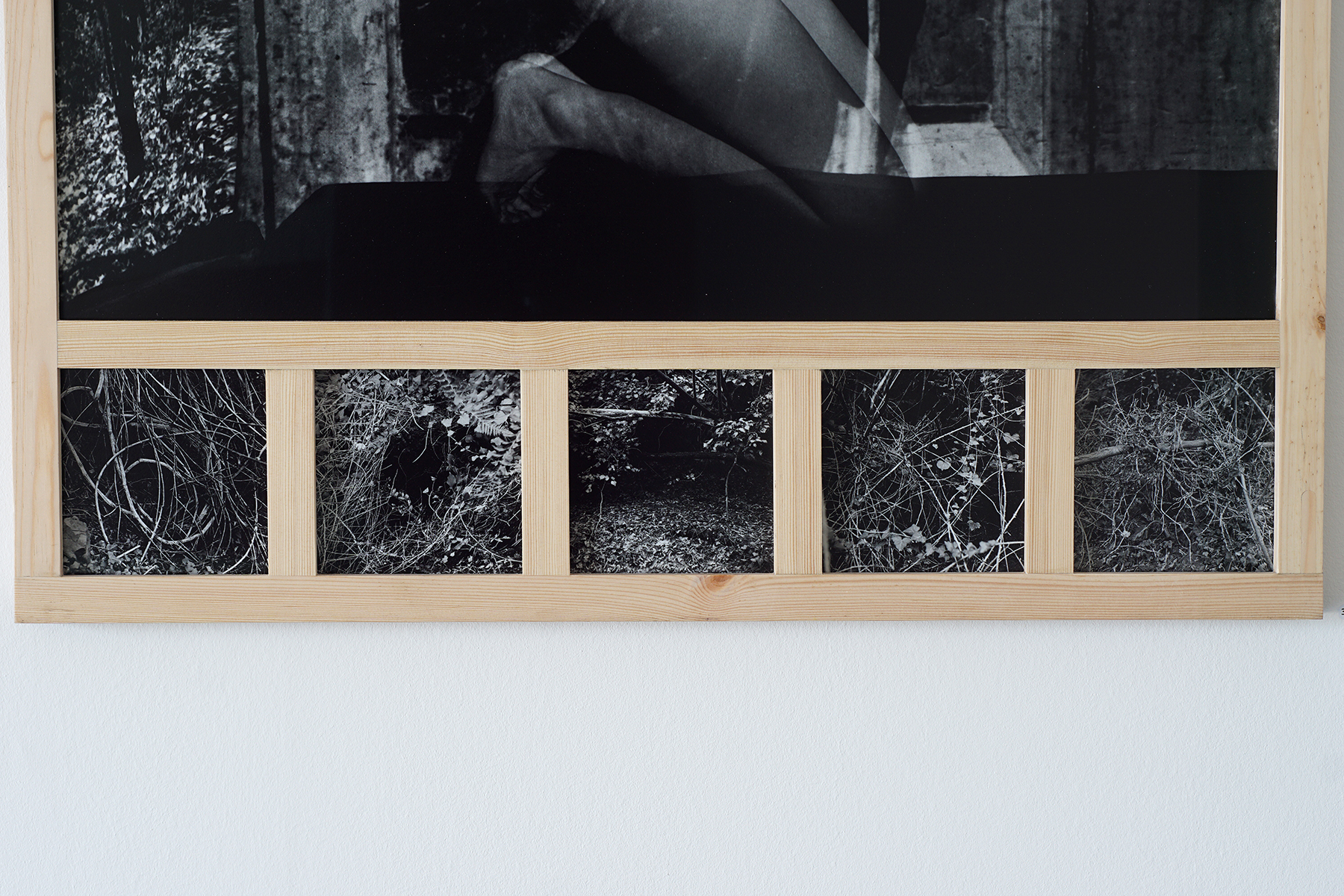 image Thom Puckey The predelle (under Death's Dream Kingdom) 0