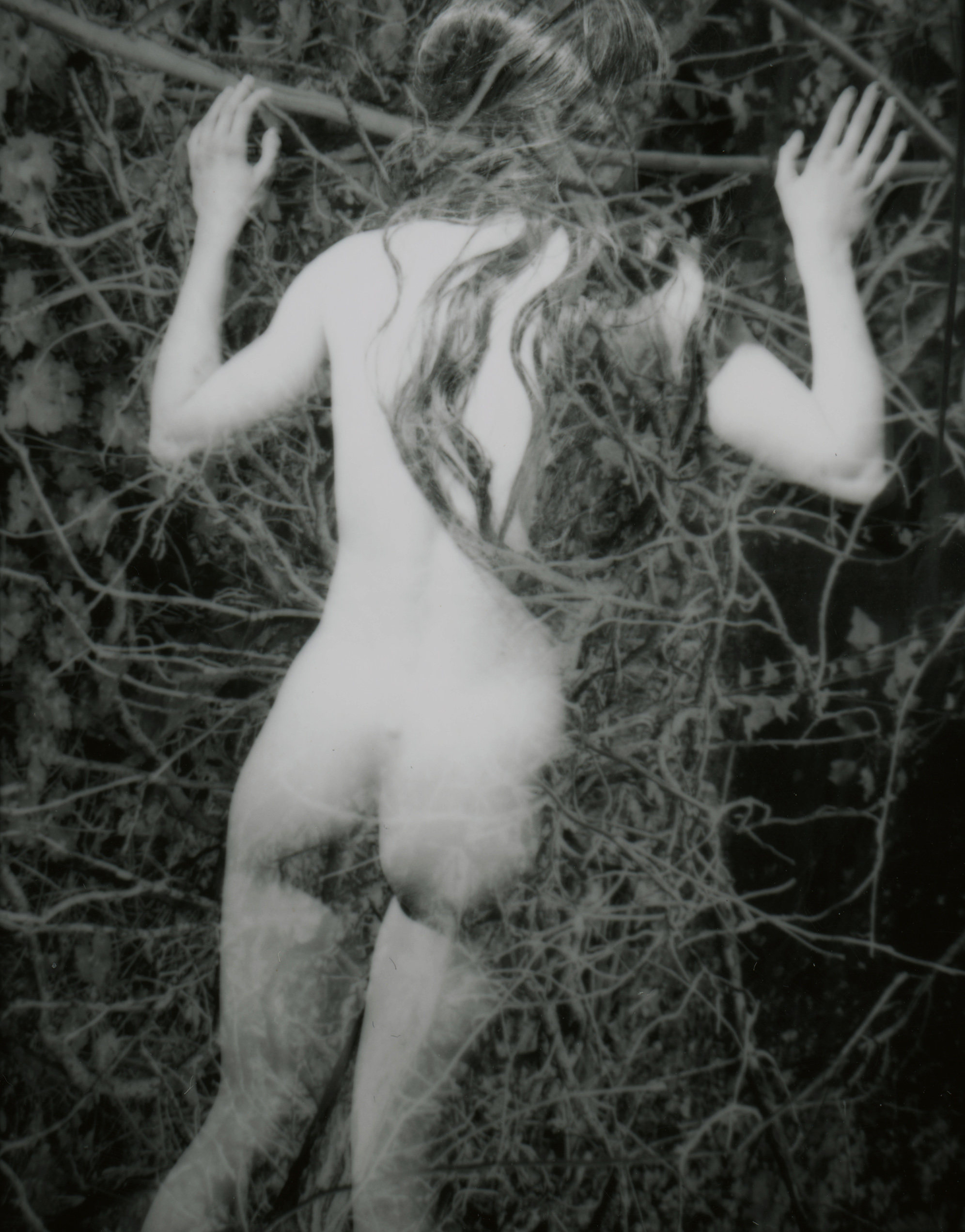 image Thom Puckey blog item 0