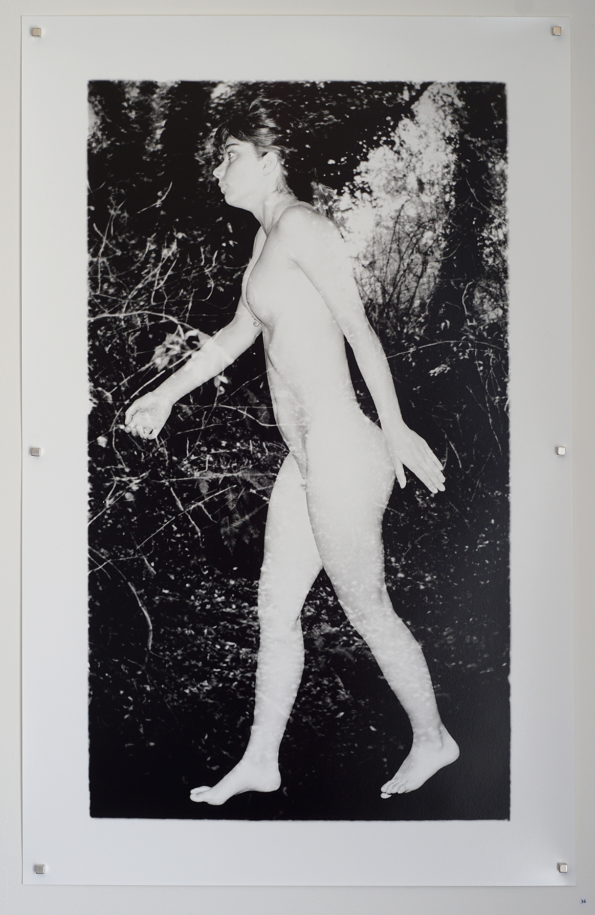 image Thom Puckey blog item 2