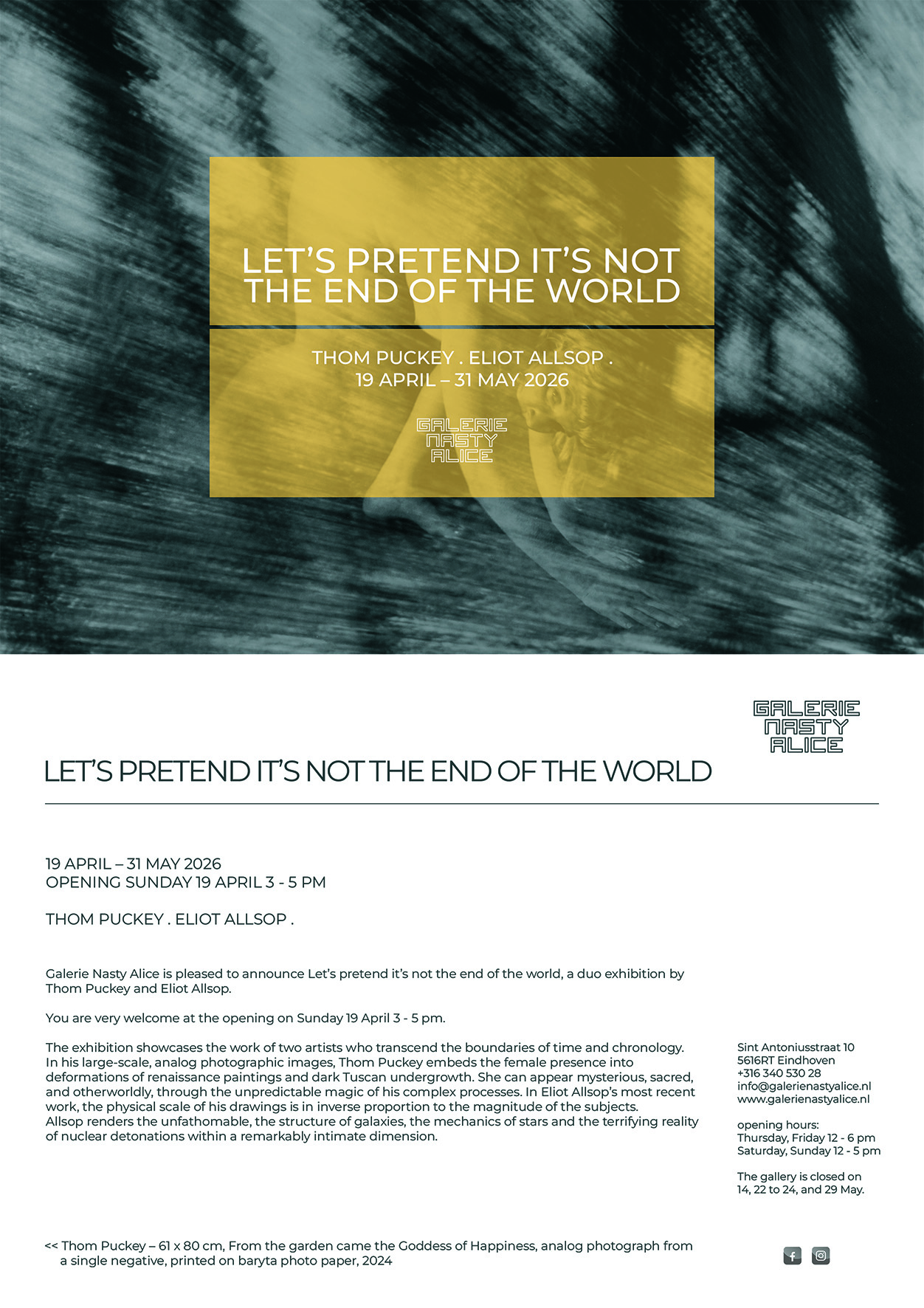 image of LET’S PRETEND IT’S NOT THE END OF THE WORLD THOM PUCKEY . ELIOT ALLSOP . GALERIE NASTY ALICE