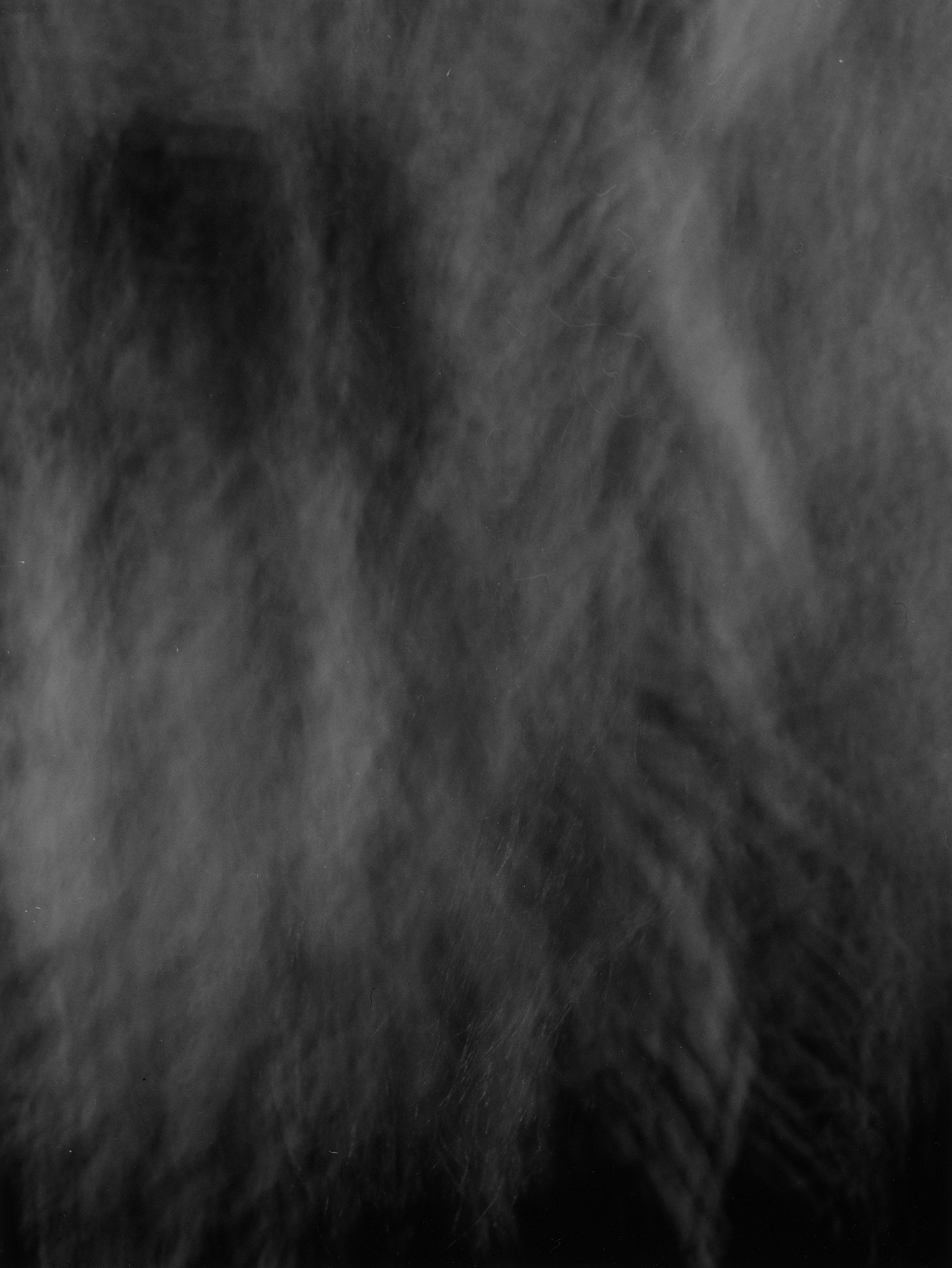 image Thom Puckey Untitled Photograph 0