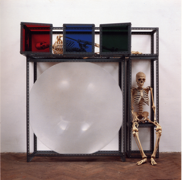 image Thom Puckey Untitled Work with Lens and Skeletons 0
