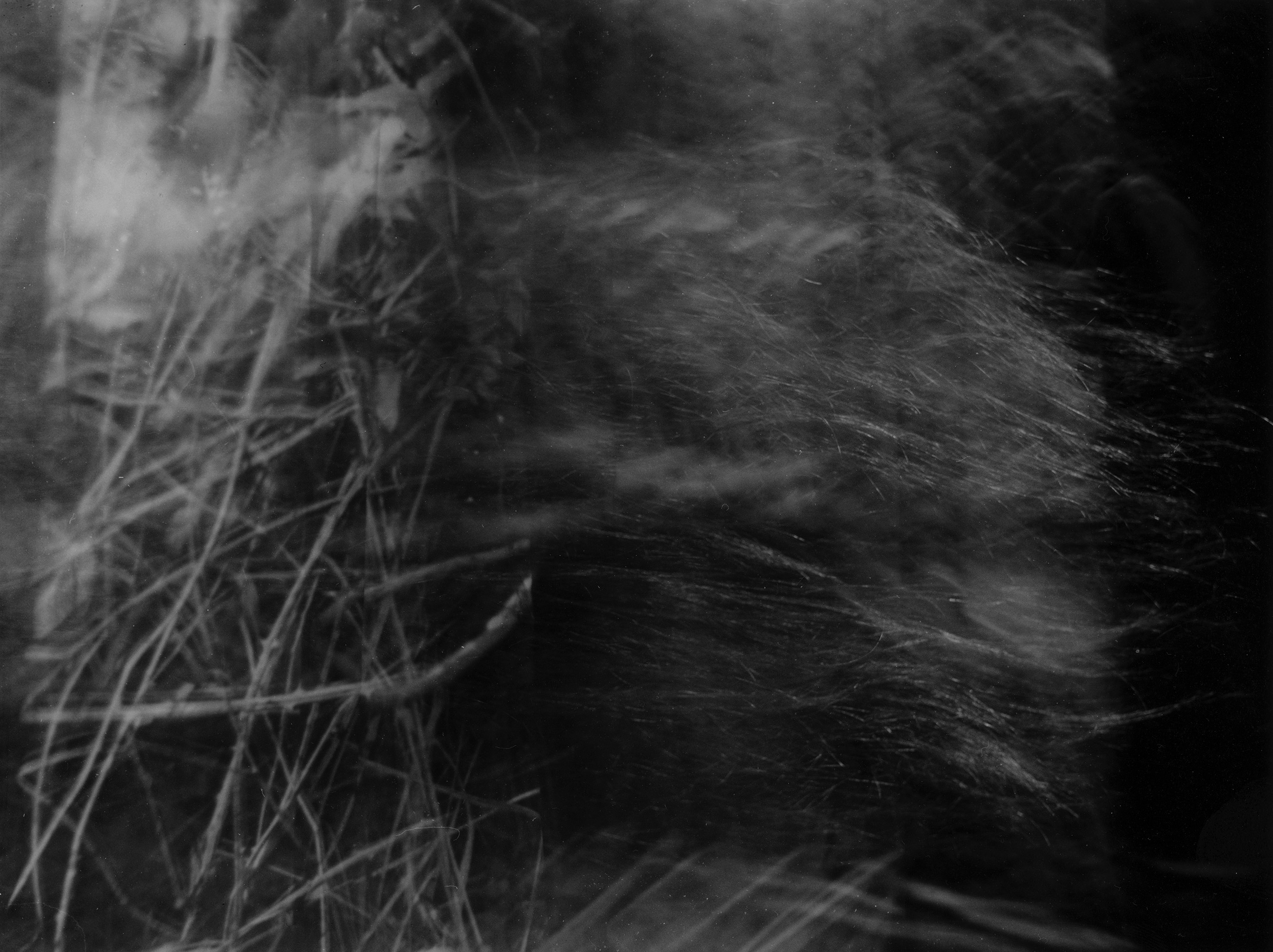 image Thom Puckey 02 0